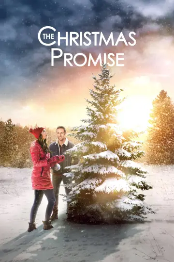 Poster to the movie "The Christmas Promise" #1042649