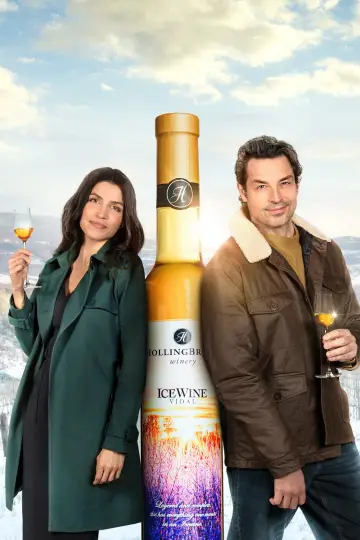 Poster to the movie "The Perfect Pairing" #406757