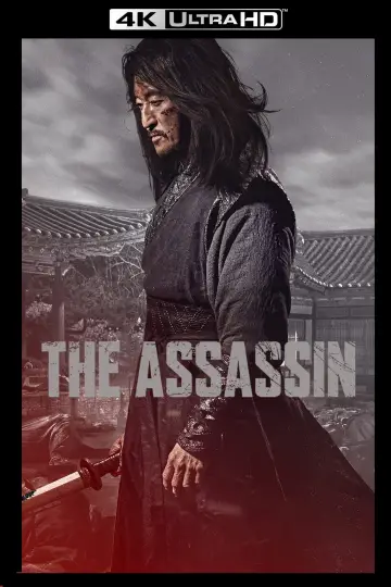 Poster to the movie "The Assassin" #1055859