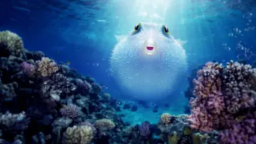 Backdrop to the movie "Puff: Wonders of the Reef" #150414