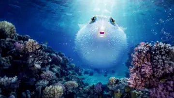 Backdrop to the movie "Puff: Wonders of the Reef" #423788