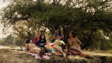 Backdrop to the movie "The Mysterious Gaze of the Flamingo" #531825