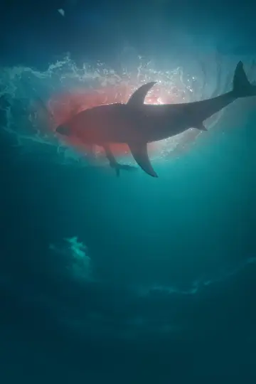 Poster to the movie "Deep Fear" #162443