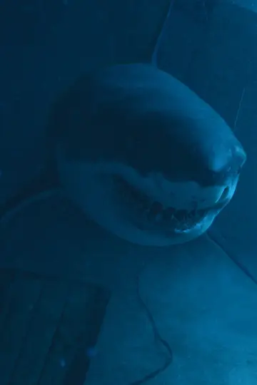 Poster to the movie "Deep Fear" #162444