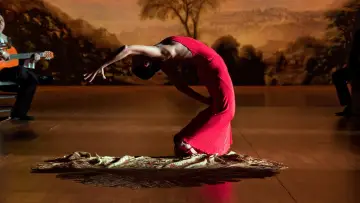 Backdrop to the movie "Flamenco Flamenco" #744750