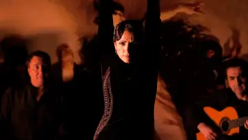 Backdrop to the movie "Flamenco Flamenco" #744753