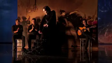 Backdrop to the movie "Flamenco Flamenco" #744754