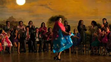 Backdrop to the movie "Flamenco Flamenco" #744760