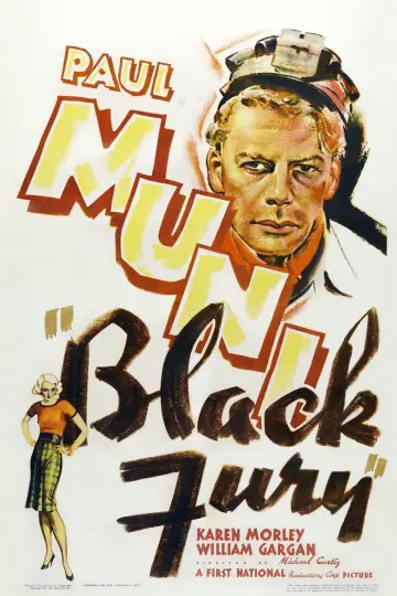 Poster to the movie "Black Fury" #735830