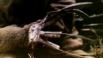 Backdrop to the movie "Hell