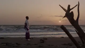 Backdrop to the movie "Wandering Ginza Butterfly: She-Cat Gambler" #1619922