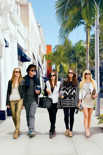 Poster to the movie "The Bling Ring" #873499