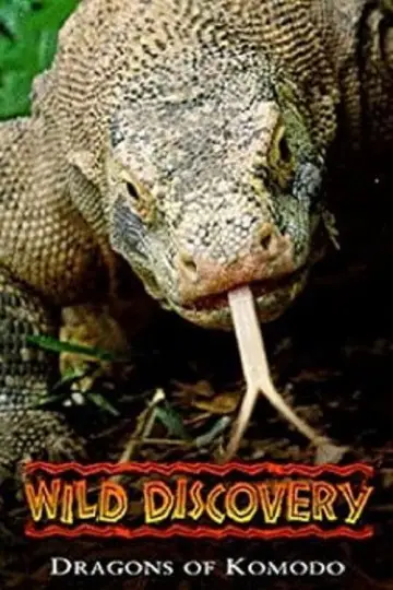 Poster to the movie "Dragons of Komodo" #1153498