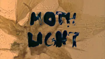 Backdrop to the movie "Mothlight" #1141172