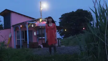 Backdrop to the movie "Himizu" #951378
