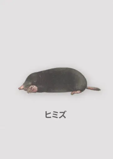 Poster to the movie "Himizu" #951462