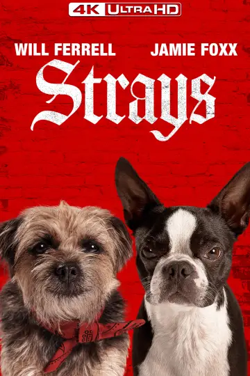 Poster to the movie "Strays" #13001