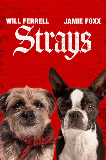 Poster to the movie "Strays" #734720