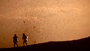 Backdrop to the movie "Fire of Love" #1025146