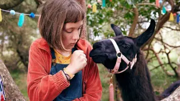 Backdrop to the movie "My Life as Lotta - Okey Dokey Alpaca" #1146408