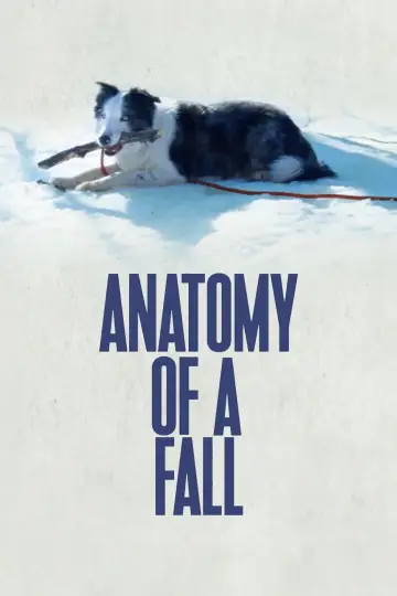Poster to the movie "Anatomy of a Fall" #193046