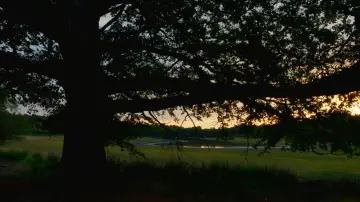 Backdrop to the movie "Heart of an Oak" #198317