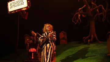 Backdrop to the movie "Beetlejuice Beetlejuice" #566001