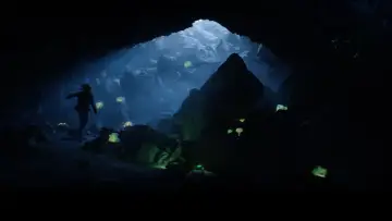Backdrop to the movie "Alien Country" #885817