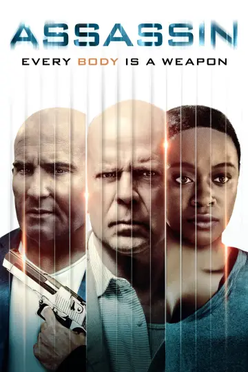 Poster to the movie "Assassin" #1020381