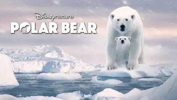 Backdrop to the movie "Polar Bear" #1072561