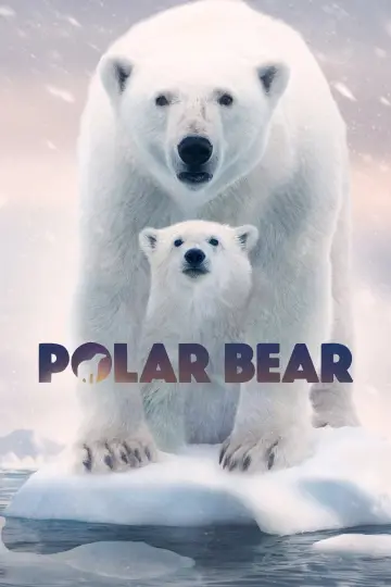 Poster to the movie "Polar Bear" #1072566