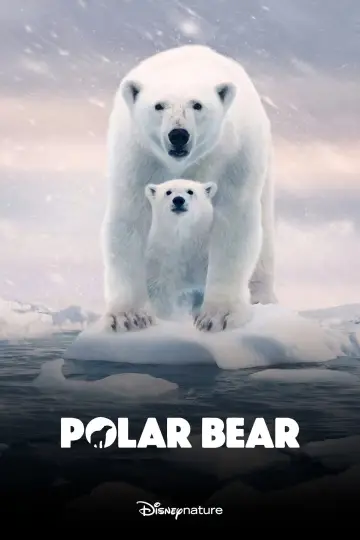 Poster to the movie "Polar Bear" #1072571