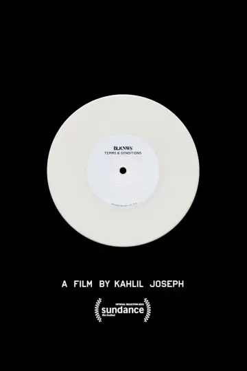 Poster to the movie "BLKNWS: Terms & Conditions" #690873