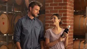 Backdrop to the movie "A Perfect Pairing" #993338