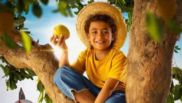 Backdrop to the movie "Chuck Billy and The Marvelous Guava Tree" #885795