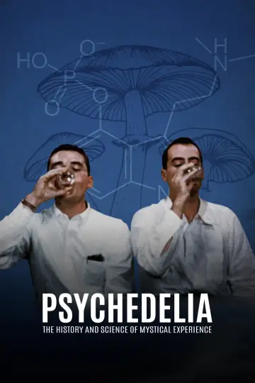 Poster to the movie "Psychedelia" #1141852