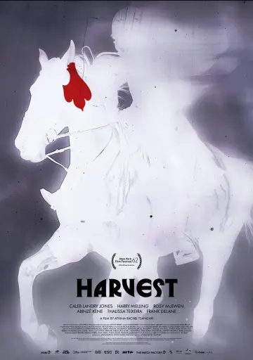 Poster to the movie "Harvest" #885774