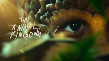 Backdrop to the movie "The Animal Kingdom" #714033