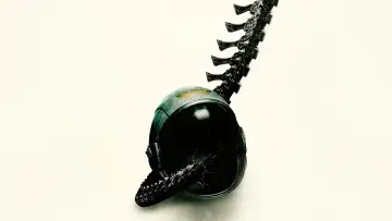 Backdrop to the movie "Alien: Romulus" #545735