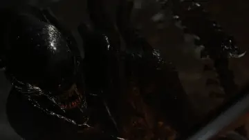 Backdrop to the movie "Alien: Romulus" #546049