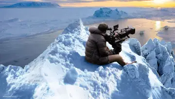 Backdrop to the movie "Bear Witness" #725171