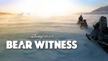Backdrop to the movie "Bear Witness" #725172