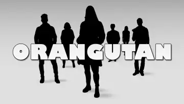 Backdrop to the movie "Orangutan" #704898