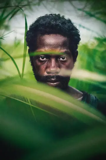 Poster to the movie "Furcy" #836549