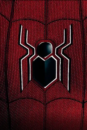Poster to the movie "Spider-Man: All Roads Lead to No Way Home" #455194