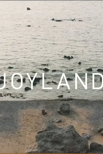 Poster to the movie "Joyland" #311594