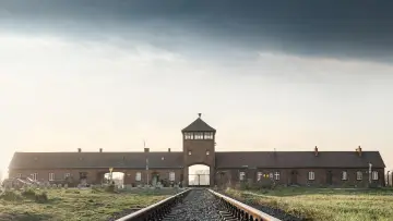 Backdrop to the movie "Auschwitz, la machine de mort nazie" #1147904