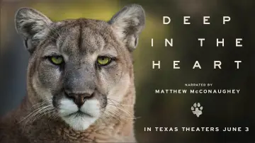 Backdrop to the movie "Deep in the Heart: A Texas Wildlife Story" #1040951