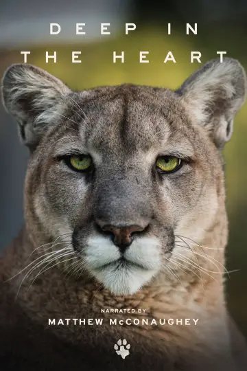 Poster to the movie "Deep in the Heart: A Texas Wildlife Story" #1040955