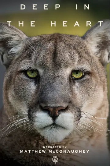 Poster to the movie "Deep in the Heart: A Texas Wildlife Story" #1040956